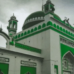 संभल मस्जिद सर्वे: इलाहाबाद हाईकोर्ट ने निचली अदालत की कार्रवाई रोकने की याचिका खारिज की